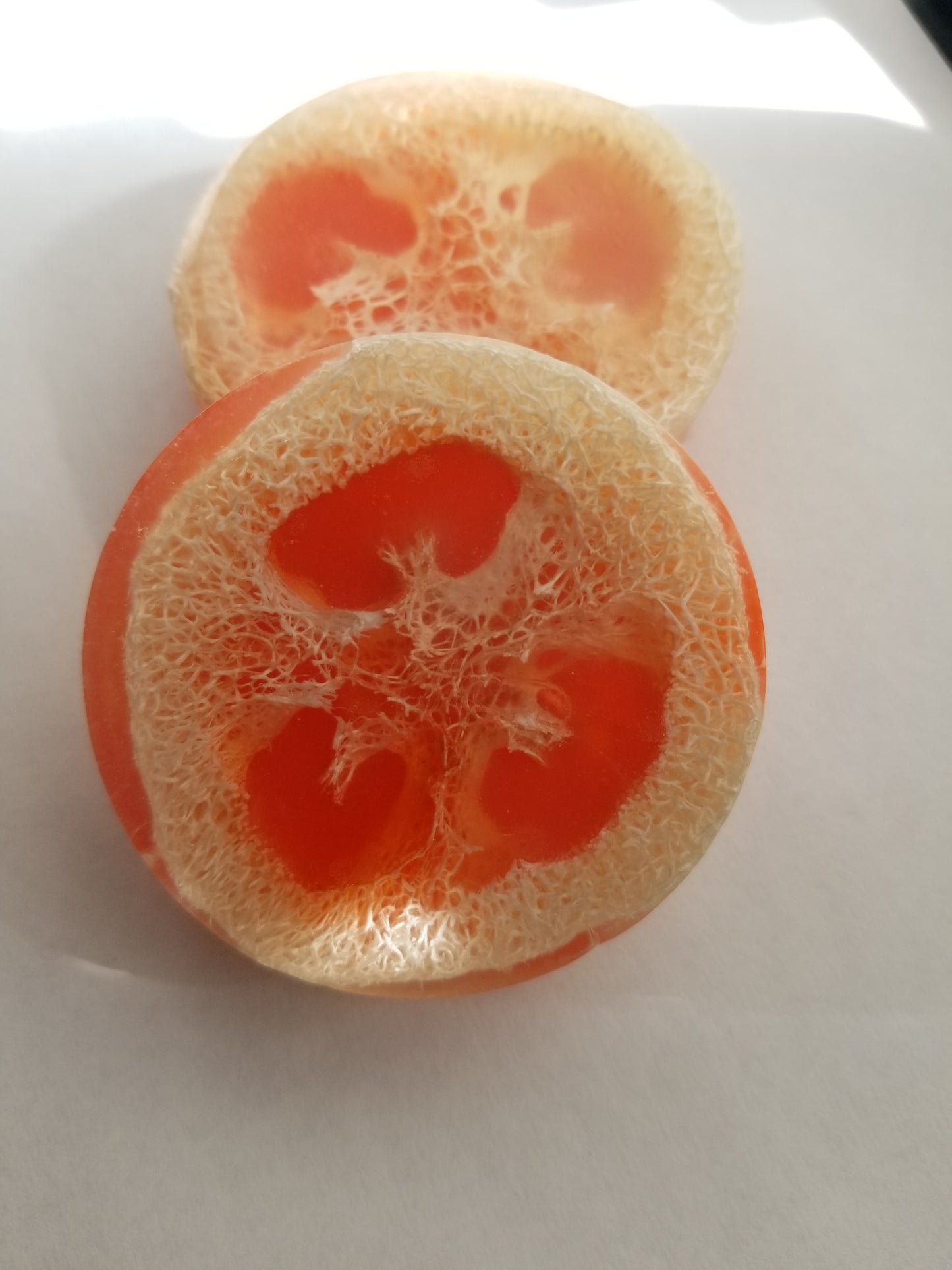 Bite Me Loofah Soap