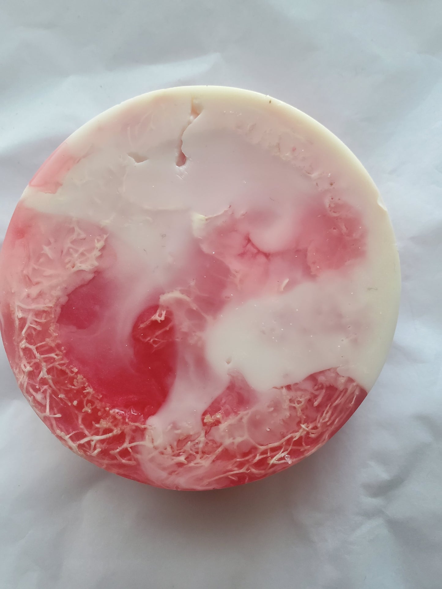 Peppermint Stick Loofah Soap